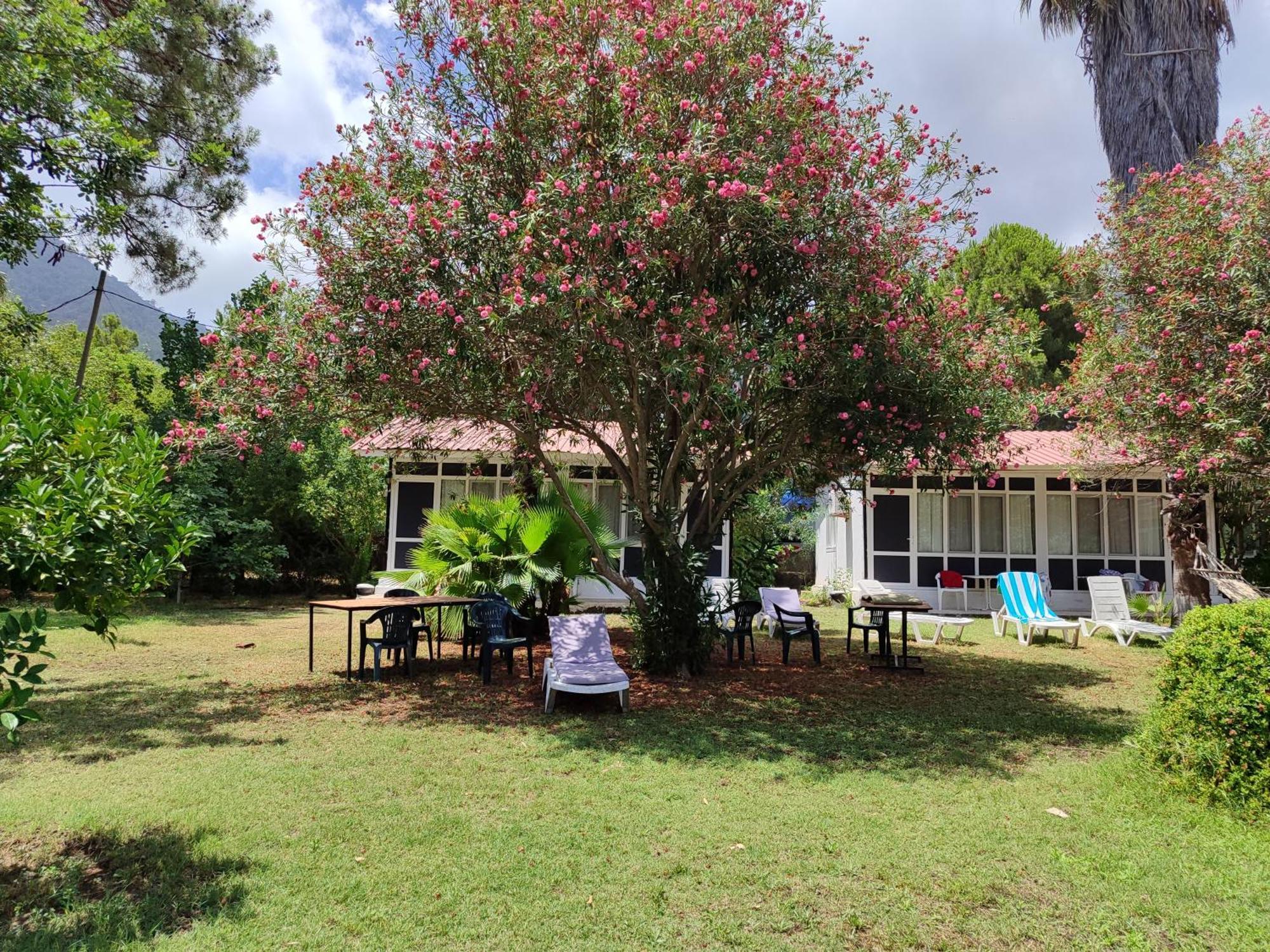 Kuecuek Ev Bed & Breakfast Kumluca Ngoại thất bức ảnh