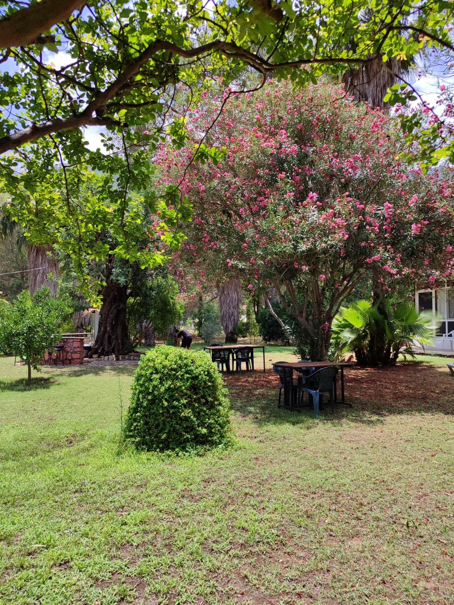 Kuecuek Ev Bed & Breakfast Kumluca Ngoại thất bức ảnh